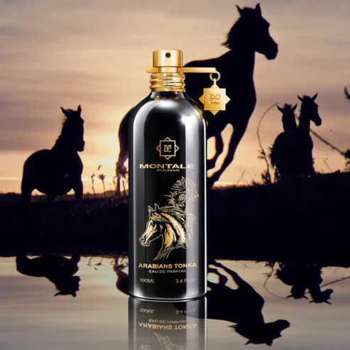 Arabians Tonka Montale - Image 2